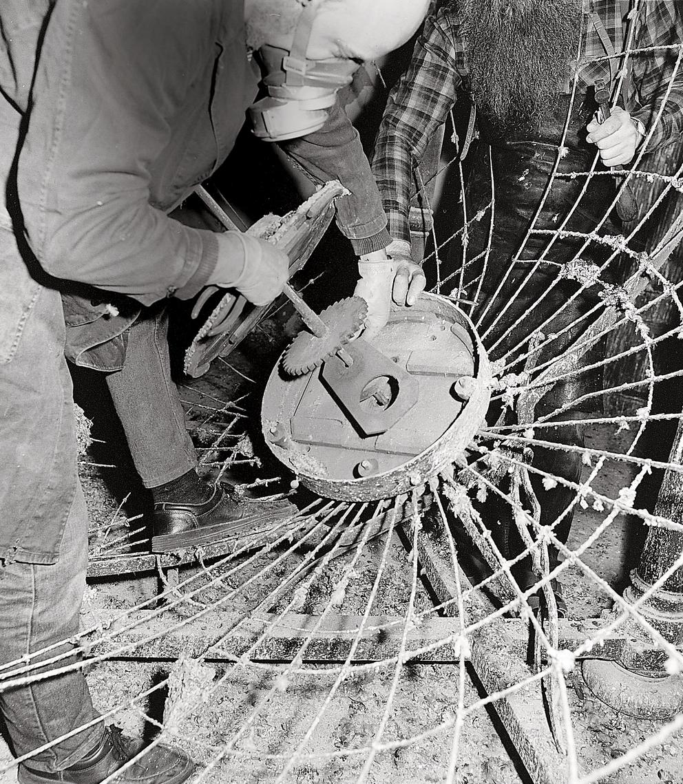 Bildunterschrift + Fotograf?