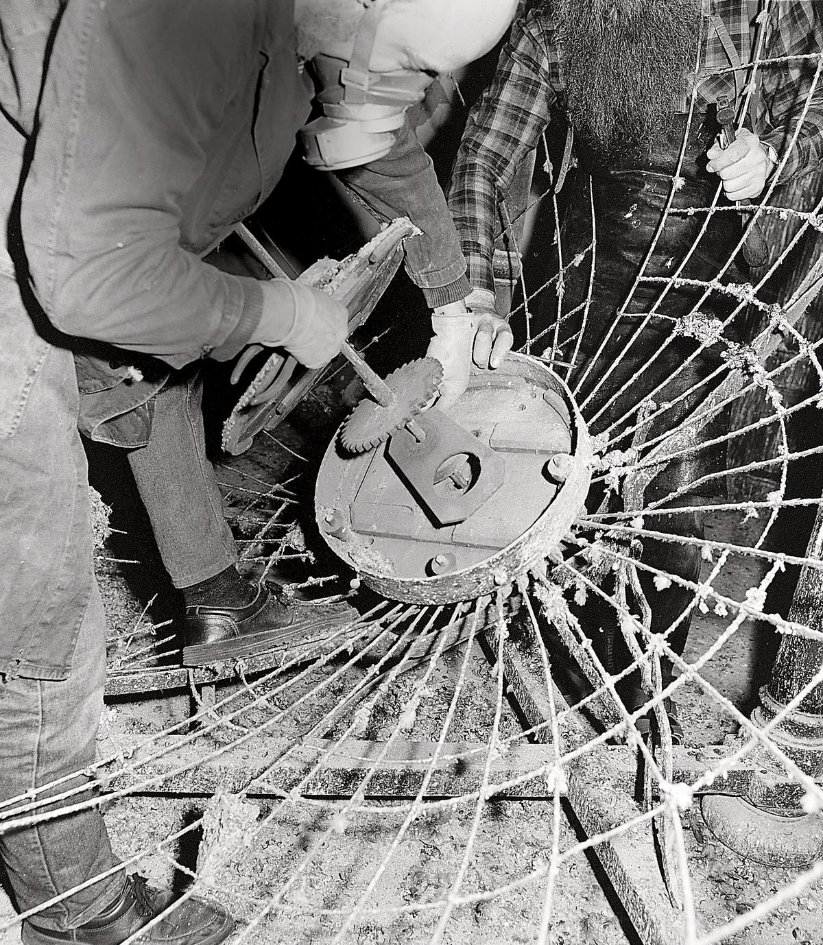 Bildunterschrift + Fotograf?